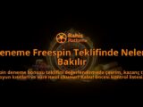 Deneme-Freespin-Teklifinde-Nelere-Bakilir-overlay-1788113899.jpg